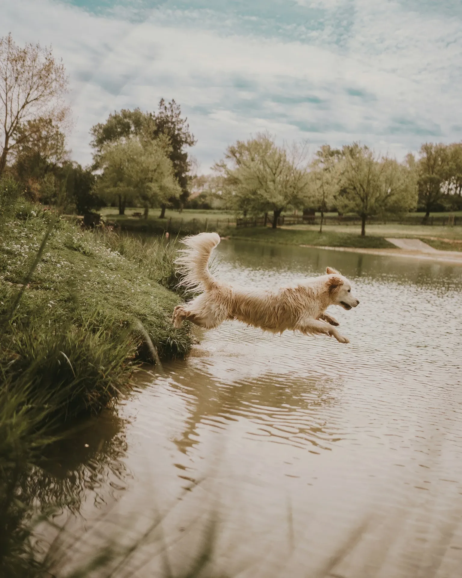 Strengthening and Fitness Training