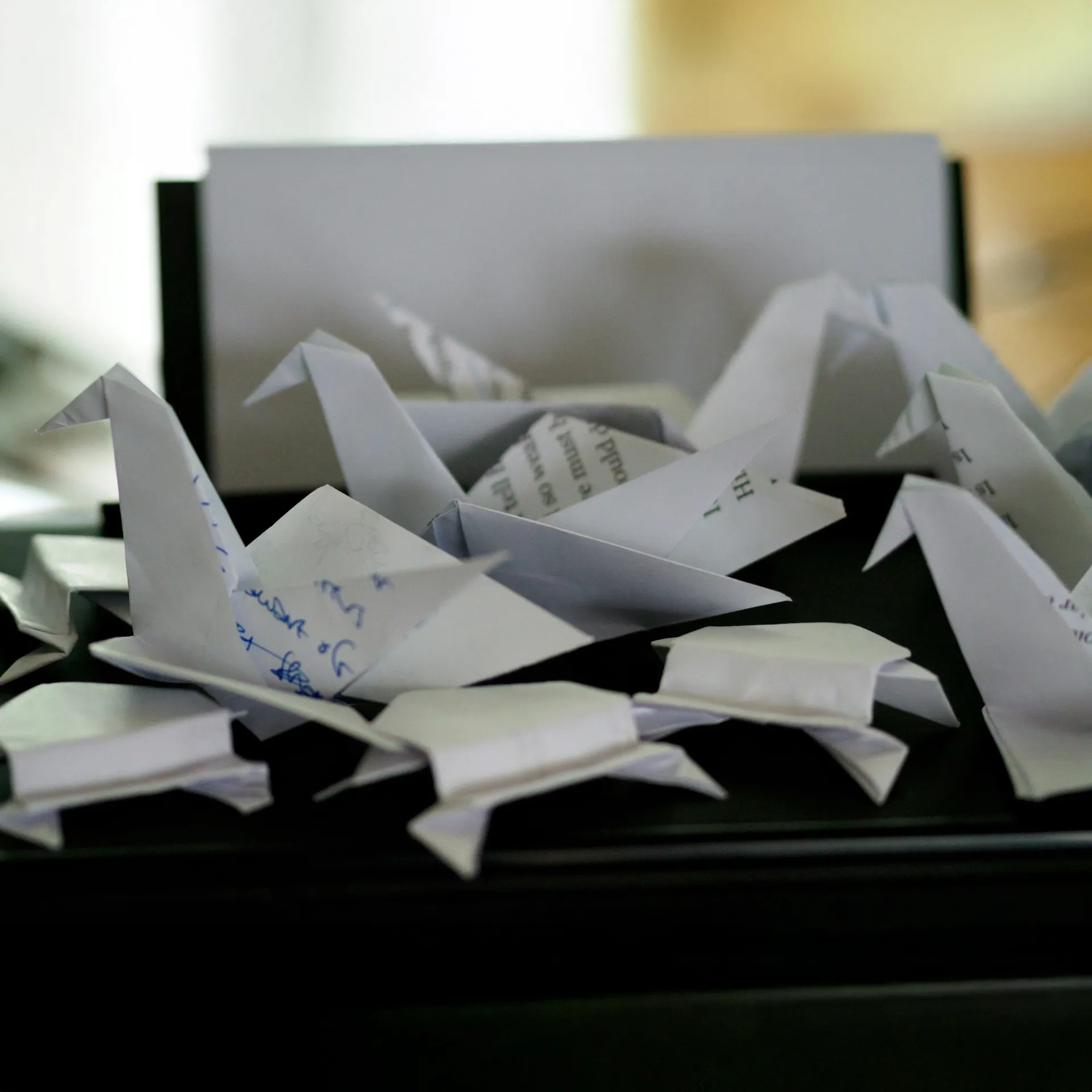 Mend Veterinary Rehabilitation Vet referrals